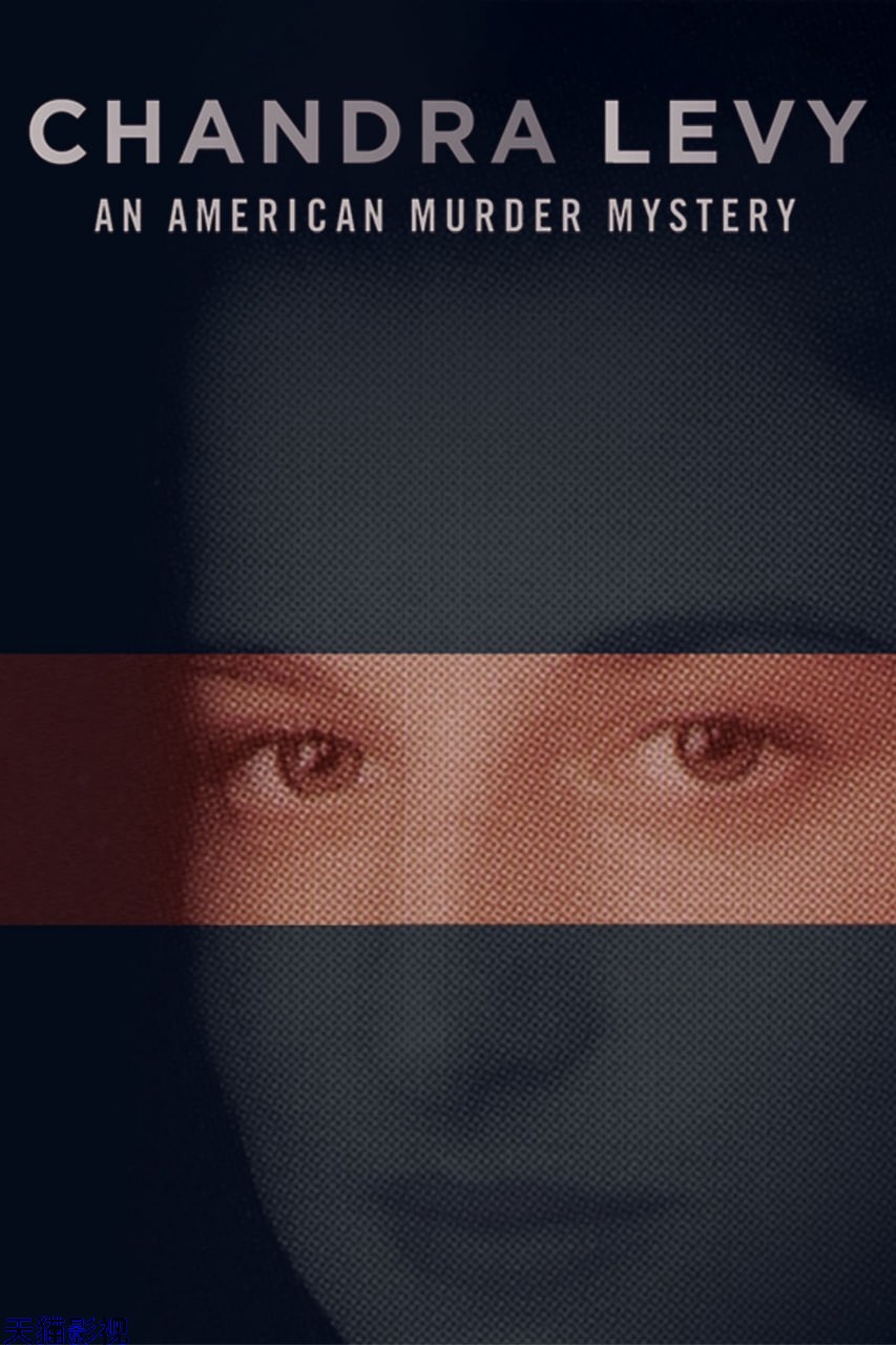 钱德拉·利维: 美国谋杀案 第一季